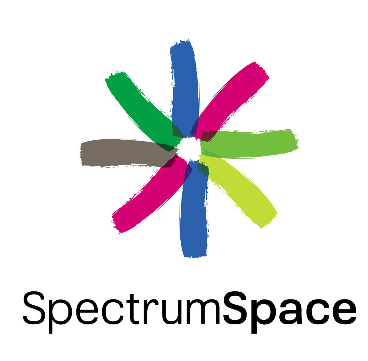 Spectrum Space Logo