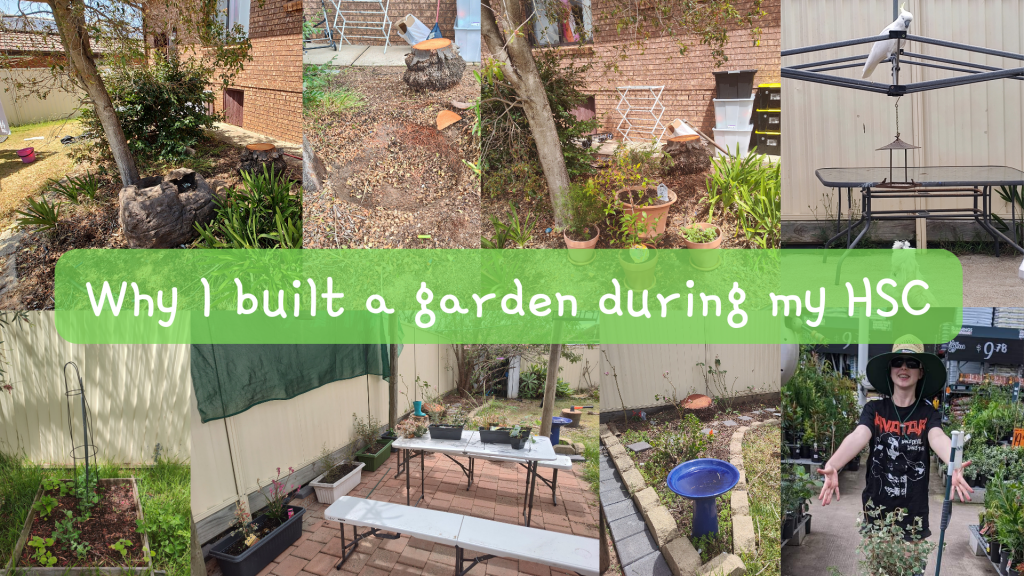Why I Built A Garden During My HSC plus 7 images of Veronika's garden including pots and garden beds as well as an image of Veronika at Bunnings with plants