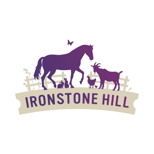 SASScare Quality Support Service Banner